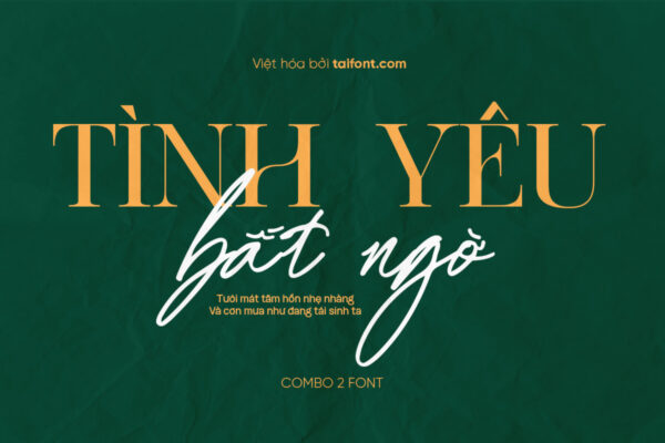 Font Việt hóa TF Borias Signature và TF Borias