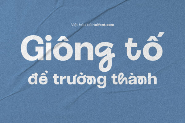 Font Việt hóa TF Shinier