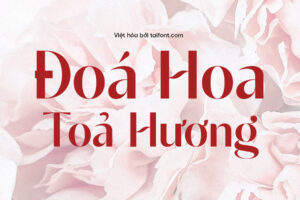 Font Việt hóa TF Aesthetic Romance – Font Chữ Nữ Tính Miễn Phí Cho Thiết Kế Cưới, Thời Trang, Mỹ Phẩm
