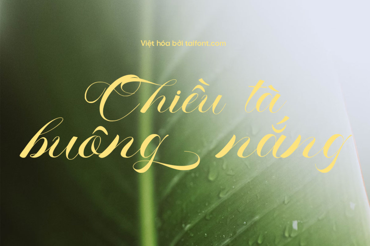Font TF Fopheras Việt hóa miễn phí, kiểu chữ viết tay sang trọng với nhiều ký tự glyphs dành cho thiệp cưới và tiêu đề tạp chí.