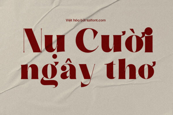 Font TF Stailo Việt hóa miễn phí, kiểu chữ có chân nét đậm dành cho thiết kế tiêu đề, bao bì mỹ phẩm và nhãn mác.