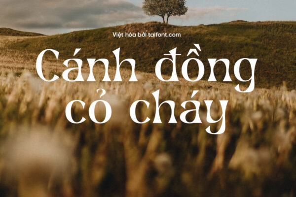 Font Việt hóa TF Cenoria