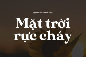 Font Việt hóa TF MADE Sunflower