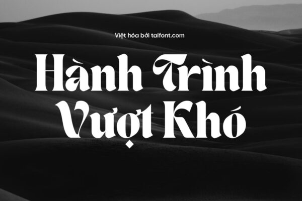 Font Việt hóa TF TAN - NEW YORK
