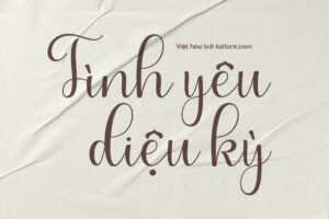 Font Việt hóa TF Wonderful Script