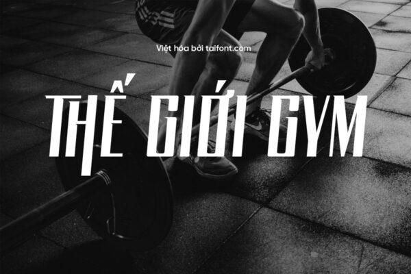 Font Việt hóa TF Bockley