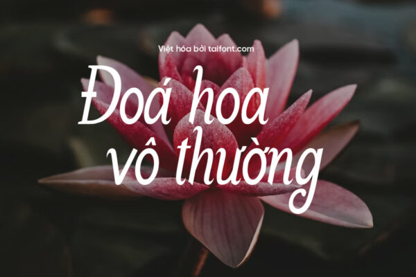 Font Việt hóa TF Nabilans
