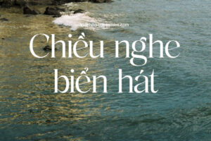 2 Font Việt hóa TF Amorenchia