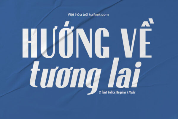 Font Việt hóa TF Solice