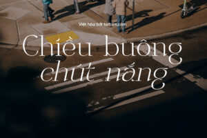 2 Font Việt hóa TF TAN Parfait