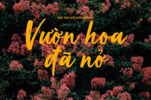 Font Việt hóa TF Brush Signature
