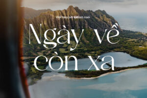 2 Font Việt hóa TF Kurosa Delight