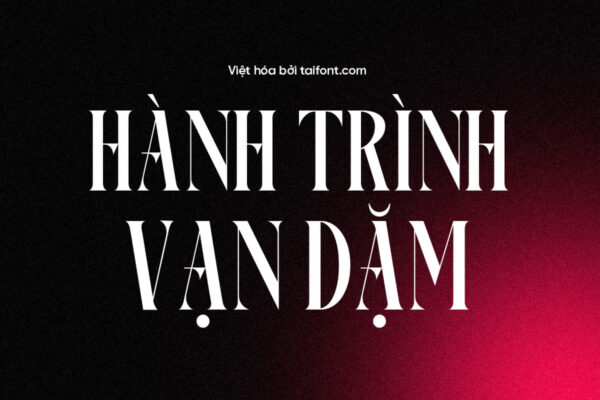 Font Việt hóa TF Disriete