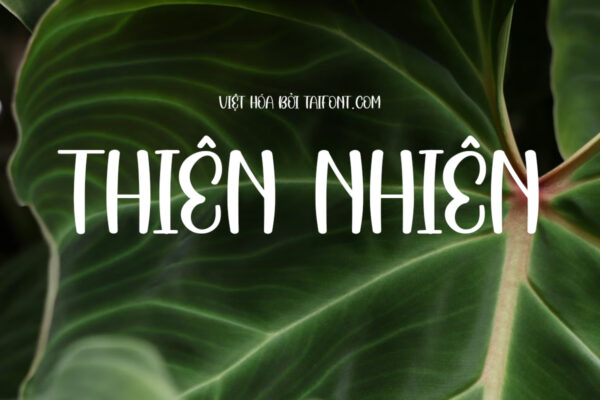 Font Việt hóa TF Love Girl