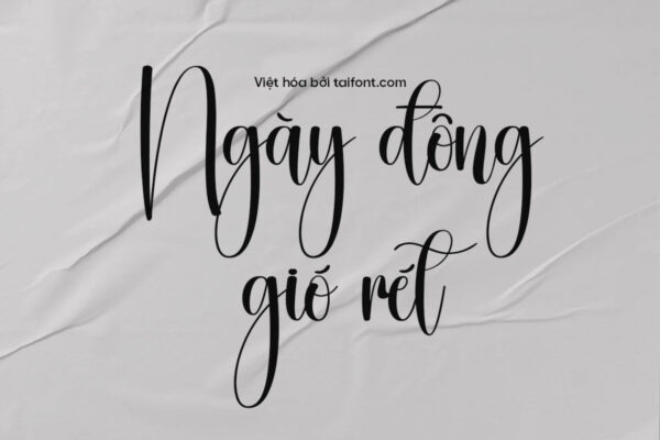 Font Việt hóa TF Birmigham